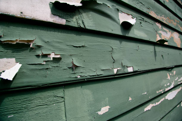 Best Appliance Removal  in Holyoke, MA