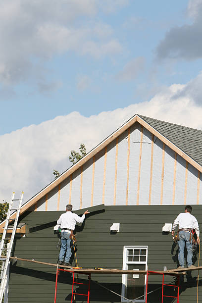 Best Shed Removal  in Holyoke, MA